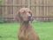 gal/Hookside Csitri/_thb_010.jpg
